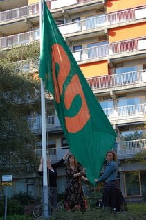 vlag